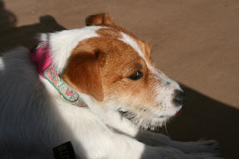 Bremer Bay B&B - Redcliffe Tourism 25