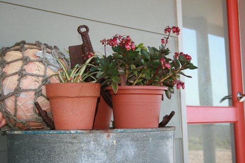 Bremer Bay B&B - Redcliffe Tourism 28