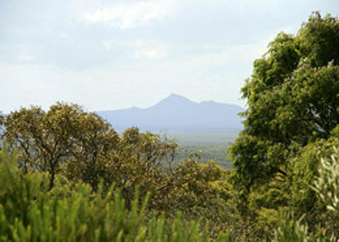 Bremer Bay B&B - Redcliffe Tourism 32