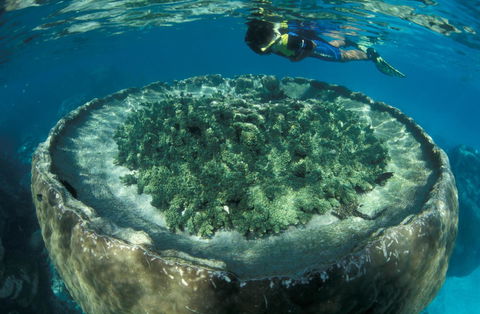 Sal Salis Ningaloo Reef - Redcliffe Tourism 8