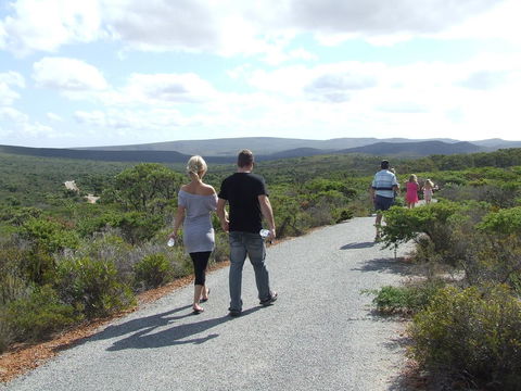 Jurien Beachfront Holiday Units - Redcliffe Tourism 27