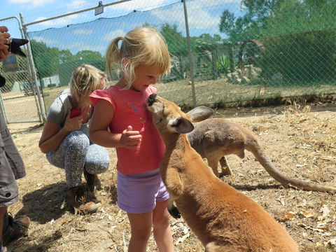 Jurien Beachfront Holiday Units - Redcliffe Tourism 36