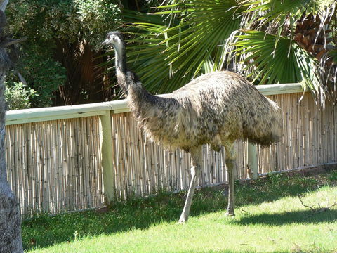 Wildsights Villas - Redcliffe Tourism 29