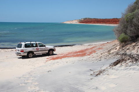 Wildsights Villas - Redcliffe Tourism 12