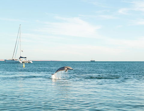 Wildsights Villas - Redcliffe Tourism 11
