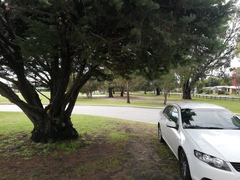 Affordable Inn - Redcliffe Tourism 25