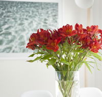 On The Beach Waterfront Apartment - Redcliffe Tourism