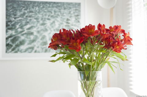 On The Beach Waterfront Apartment - Redcliffe Tourism 0