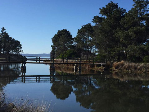 Swansea Holiday Park Tasmania - Redcliffe Tourism 41