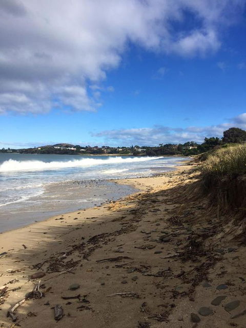 Swansea Holiday Park Tasmania - Redcliffe Tourism 15
