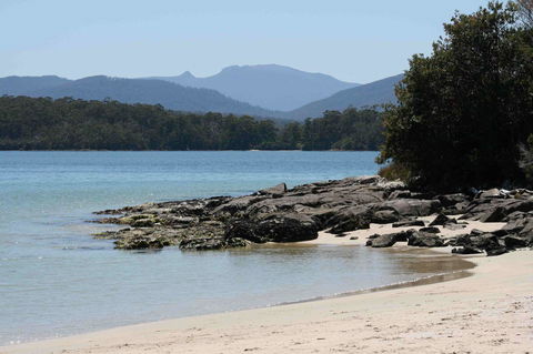 Driftwood - Redcliffe Tourism 14