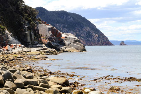 Aplite House - Redcliffe Tourism 26