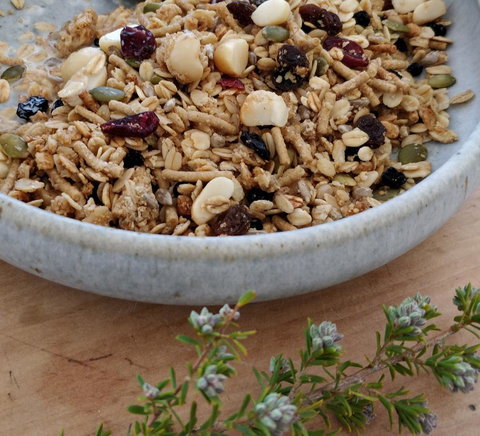 Aplite House - Redcliffe Tourism 24