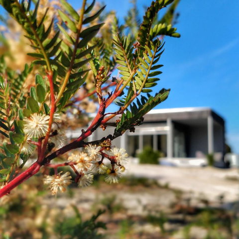 Aplite House - Redcliffe Tourism 36