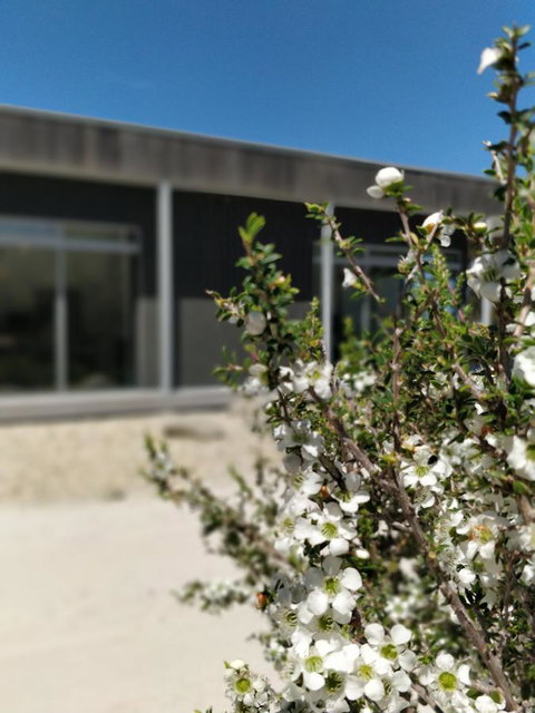 Aplite House - Redcliffe Tourism 7