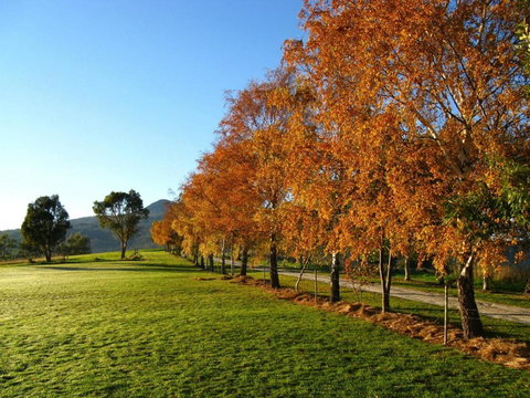 Plovers Ridge Country Retreat - Redcliffe Tourism 8