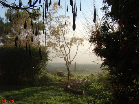 Plovers Ridge Country Retreat - Redcliffe Tourism 2