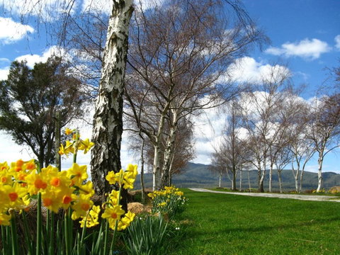 Plovers Ridge Country Retreat - Redcliffe Tourism 4