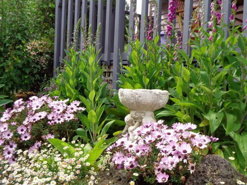 Post House Cottage - Redcliffe Tourism 19