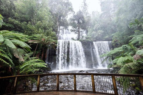 Post House Cottage - Redcliffe Tourism 23