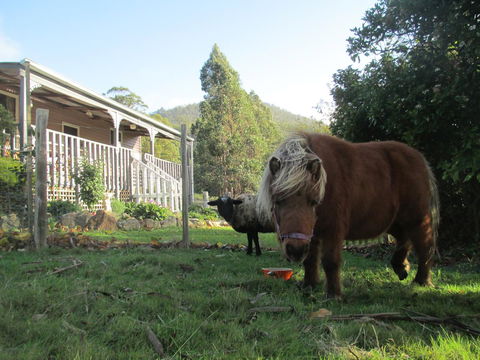 Post House Cottage - Redcliffe Tourism 3