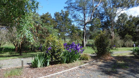 Karoola Cottage Self Contained - Redcliffe Tourism 19