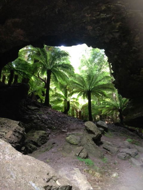 Sheer Pleasure Accommodation - Redcliffe Tourism 21