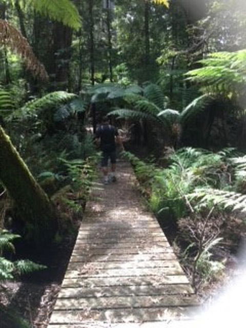 Sheer Pleasure Accommodation - Redcliffe Tourism 23