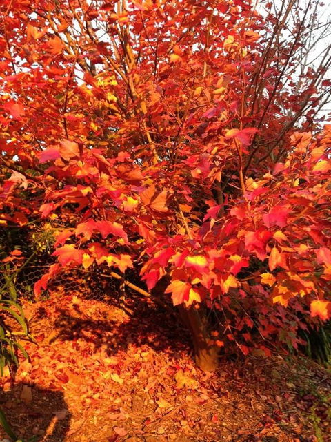 Sheer Pleasure Accommodation - Redcliffe Tourism 26