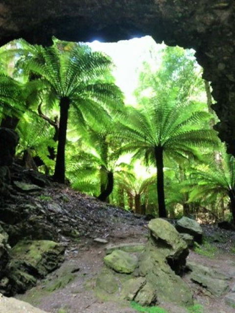 Sheer Pleasure Accommodation - Redcliffe Tourism 22