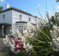 The Grove Cottages - Redcliffe Tourism