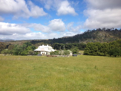 Walnut Cottage - Redcliffe Tourism 19