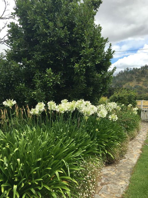 Walnut Cottage - Redcliffe Tourism 9