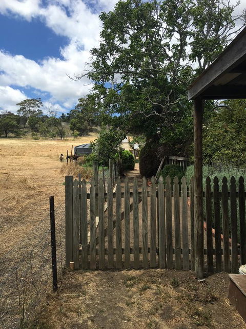 Walnut Cottage - Redcliffe Tourism 13