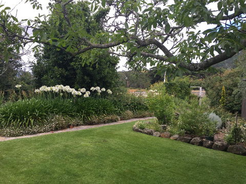 Walnut Cottage - Redcliffe Tourism 15