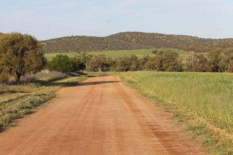 Northbrook Farmstay - Redcliffe Tourism 2