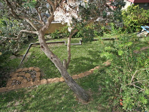 Now And Then 1/42 Clarence Street - Redcliffe Tourism 3