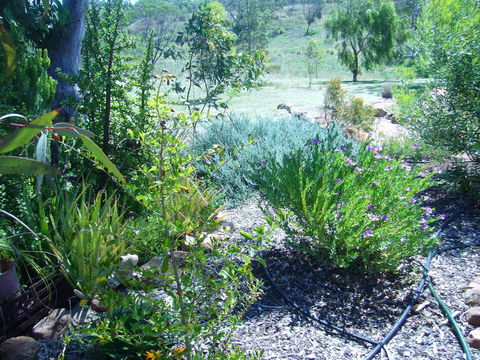 Old Miners' Cottages Bed And Breakfast - Redcliffe Tourism 0