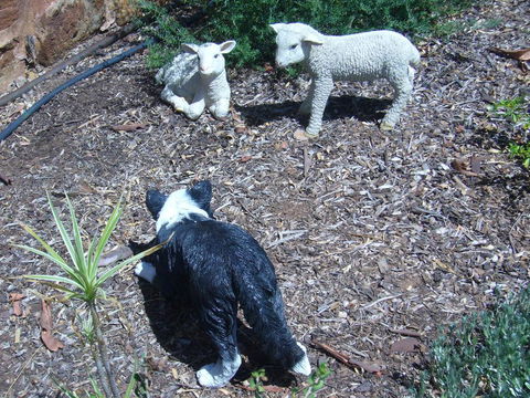 Old Miners' Cottages Bed And Breakfast - Redcliffe Tourism 2