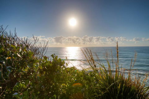 Osprey - Sapphire Beach NSW - Redcliffe Tourism 2