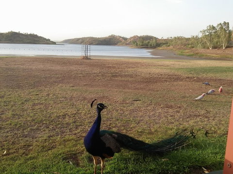 Overlander Hotel - Redcliffe Tourism 2