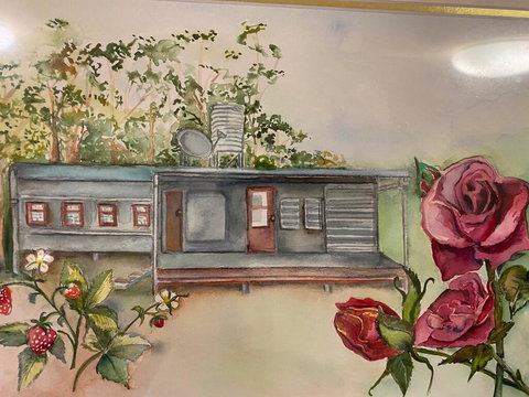 Paluma Rainforest - Carriage In The Mist - Redcliffe Tourism 0