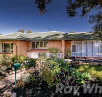 pasadena quinlan - Redcliffe Tourism