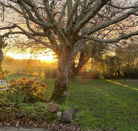 Peg Cottage - Redcliffe Tourism