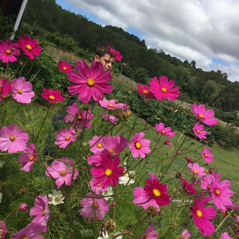 Pennyroyal Otways Retreat - Redcliffe Tourism 3