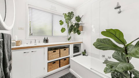 PERIWINKLE - MOUNT MARTHA - Redcliffe Tourism 1