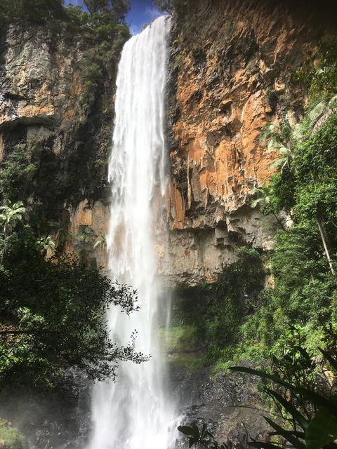Purling Brook Falls Gwongorella - Redcliffe Tourism 0