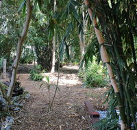Rainforest Water Front River Shack Secluded. - Redcliffe Tourism