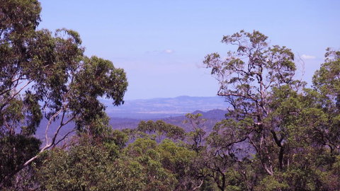 Ravensbourne Escape - Cedar Lodge - Redcliffe Tourism 0