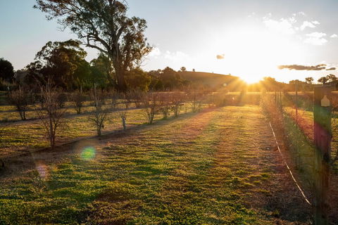 Riverview Farm & Guesthouse - Redcliffe Tourism 3